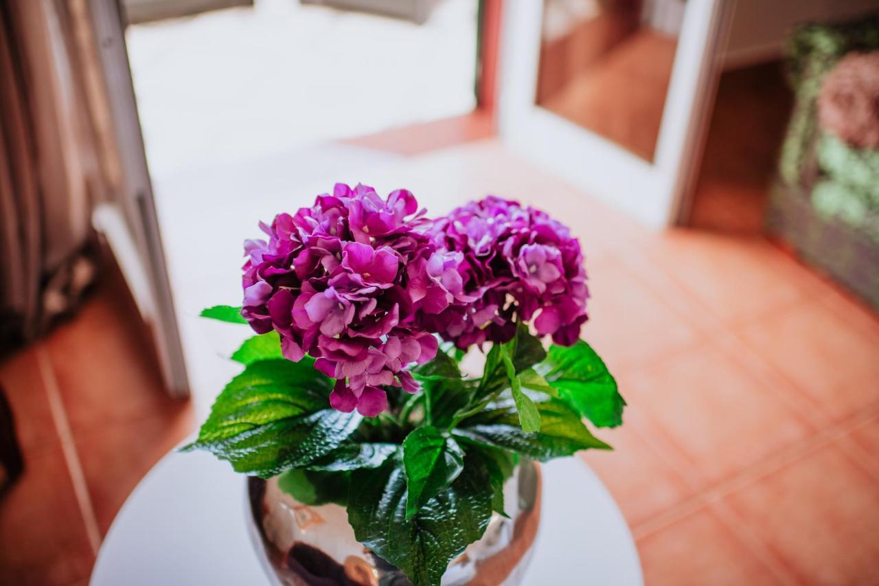 Villa Amore Accommodation Пол до Мар Екстериор снимка